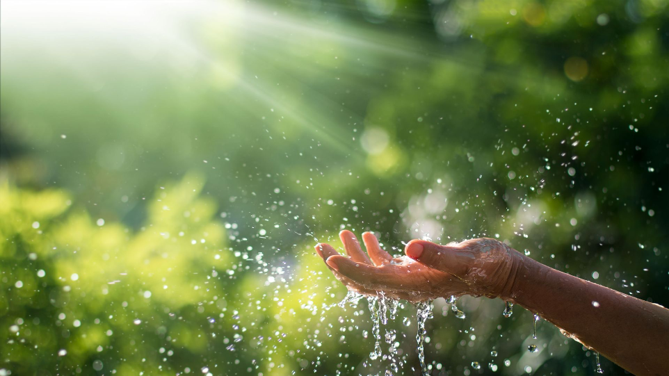 Récupération d'eau de pluie