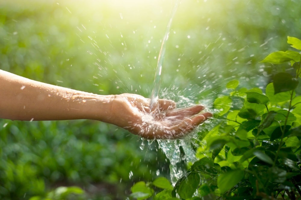 Usages domestiques