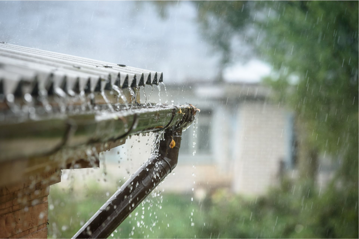 Eau de pluie
